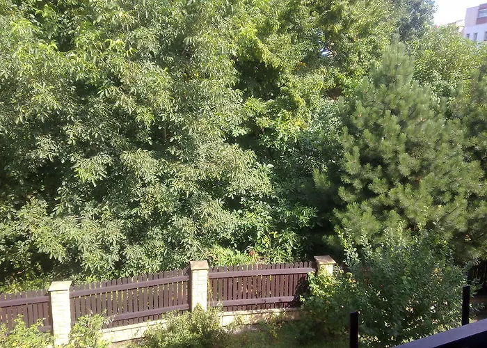 Studanka Orłowa
